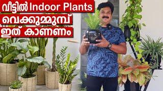 വീട്ടിൽ indoor plants വെക്കുന്നവർ ഇത് കാണാതെ പോകരുത്