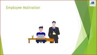 Employee Motivation | Motivation | What is Employee Motivation?