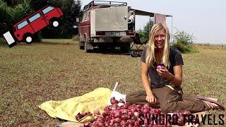[EngSub] Where do the onions come from? Indian hospitality | Roadtrip #38