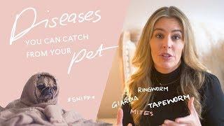 Diseases You Can Catch From Your Pet - With Dr Kate Adams, Bondi Vet