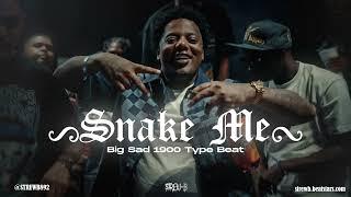 Big Sad 1900 x Mozzy Type Beat 2024 - "Snake Me"