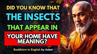 Did you know that the insects that appear in your home have meaning...
