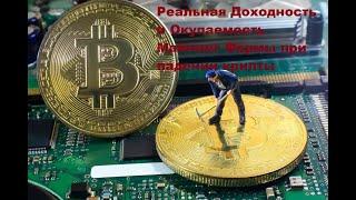 Реальная Доходность и Окупаемость Майнинг Фермы при падении крипты