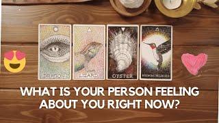 What is your person feeling about you right now?| Pick a card