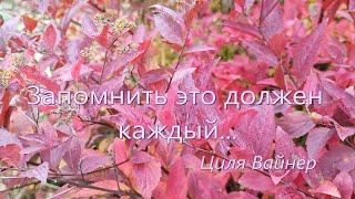 Запомнить это должен каждый... Циля Вайнер. Прочитала в память о друге Томы Васянович, г. Харьков.