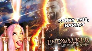 FFXIV The Endwalker Paladin Experience