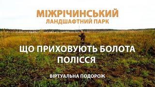  УКРАЇНСЬКІ БОЛОТА: Трясовина, яка змусять вас тремтіти! / Віртуальна подорож. Міжрічинський парк.