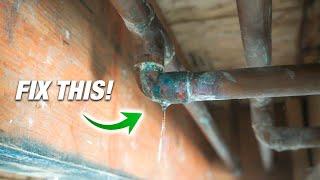 How To Fix ANY Pipe Leak! 2 BEST Ways For DIY Plumbing!