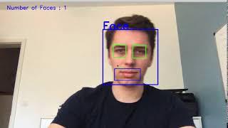 OpenCV Real Time Face, Eyes and Mouth Detection in Python (with code)