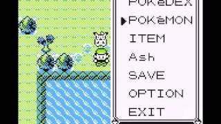 Surfing Pikachu has its own Sprite in Pokemon Yellow!