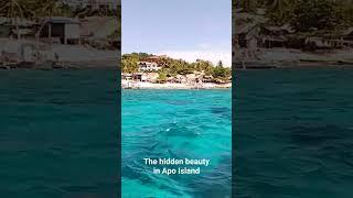 the hidden beauty in Apo Island