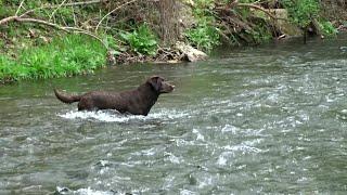 Dry Run Creek, Arkansas