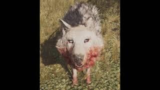 Snowblood Wolf (Far cry primal) Sounds