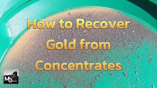 How to Recover Gold from Concentrates