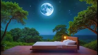 Calming Violin Music for Bedtime : Relaxing Sleep Music/ Zen Violin Music 24/7/