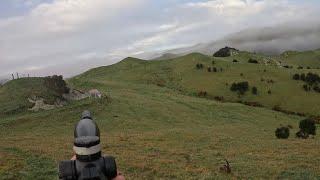 New Zealand Winter Deer Hunt: A Quiet Pursuit in the Wild