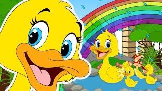 Five Little Ducks | Chirpy Toons - Nursery Rhymes & Kids Songs