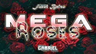 »Mega Funk Roses - Equipe Farol Baixo - DJ Gabriel Official