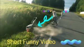 Short funny videos