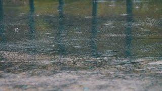 Raining On Street Pavement Sounds For Sleeping, Relaxing ~ Water Drops Heavy Downpour Ambience