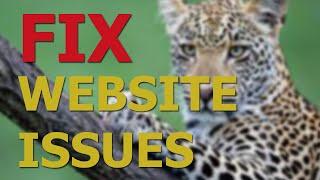 Fix Technical Website Issues - WowVisible