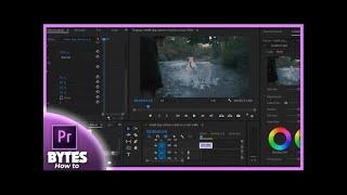 How to Crop Video in Adobe Premiere Pro