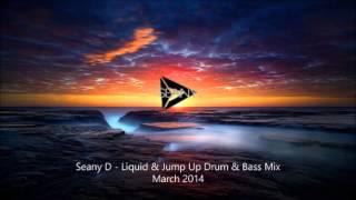 Liquid & Jump Up Drum & Bass Megamix (Netsky / Camo & Krooked / Wilkinson) - March 2014 - Seany D