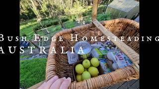 Australian Homesteading Channel - Bush Edge Homesteading Australia - Channel Trailer