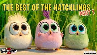 The Angry Birds Movie 2 | Best of the Hatchlings | Part 1