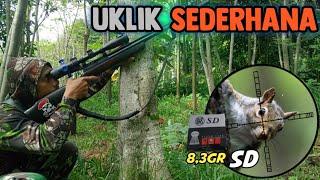 Berburu Tupai Bersama Uklik Satu JutaanSNIPER LUMAJANG