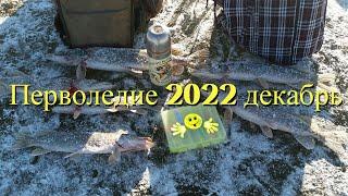 Перволедие 2022!!! Ловля щук на жерлицы- Зимняя рыбалка на щуку в декабре