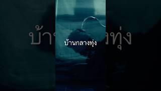 #theshocktv #movie #หนังผี #บ้านกลางทุ่ง #หนังสั้น