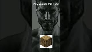 POV you use this wood in minecraft | gigachad meme | ️ Warning ️ Flashing lights