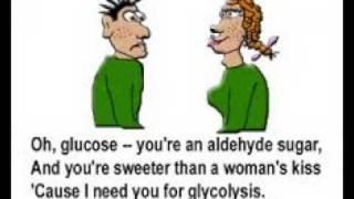 Glucose Song