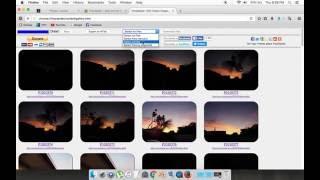 How to Download all the images from a webpage at once