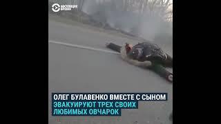 Военные РФ обстреляли гражданскую машину в Украине. Погиб человек и собаки