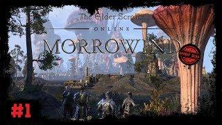 The Elder Scrolls Online (Стрим) #1. Пролог. Вварденфелл