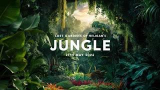 The Lost Gardens of Heligan - The Jungle - 27th May 2024