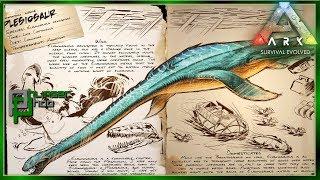 Ark Basics Plesiosaur - EVERYTHING YOU NEED TO KNOW
