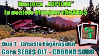 Ep.3.Ziua 1 spre Creasta Fagarasului din Sebesu de Sus - Cabana Suru(1450m). Romania wild mountains.