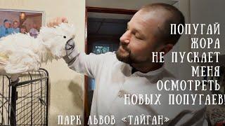 Птичий ТЕАТР РЕВНОСТИ и знакомство с новыми попугаями. Кто кого перекричит: КЕША или ЖОРИК?