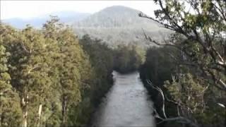 Spectacular Tahune Airwalk in Southern Forest, Tasmania