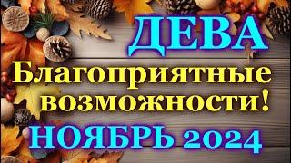 ДЕВА - ТАРО ПРОГНОЗ на НОЯБРЬ 2024 - ПРОГНОЗ РАСКЛАД ТАРО - ГОРОСКОП ОНЛАЙН ГАДАНИЕ