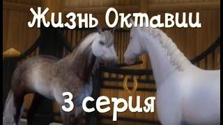 "Жизнь Октавии" 3 серия "Пополнение в конюшне" СЕРИАЛ STAR STABLE