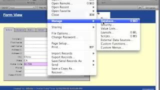 FileMaker Tutorial - 091 - Lookups pt 3