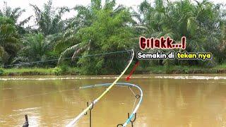 Gila bener!!! Mancing di Sungai saat banjir besar malah diserang rombongan ikan ganas