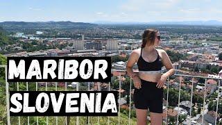 First International Bus Trip! + What to See and Do in Maribor, Slovenia) 