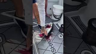 Bleeding out a tuna