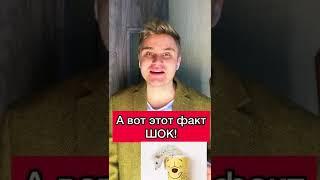 Мы убивали ежиков все детство! #дети #детство #ежики