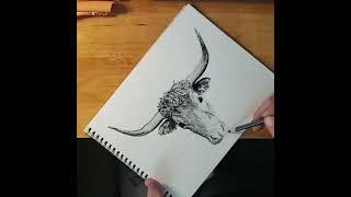 Charcoal Speed Draw - Longhorn